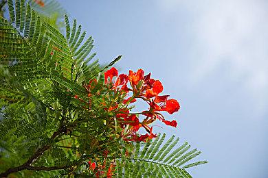 《星鸣特攻》粉丝对《漫威争锋》不满 称其不好玩